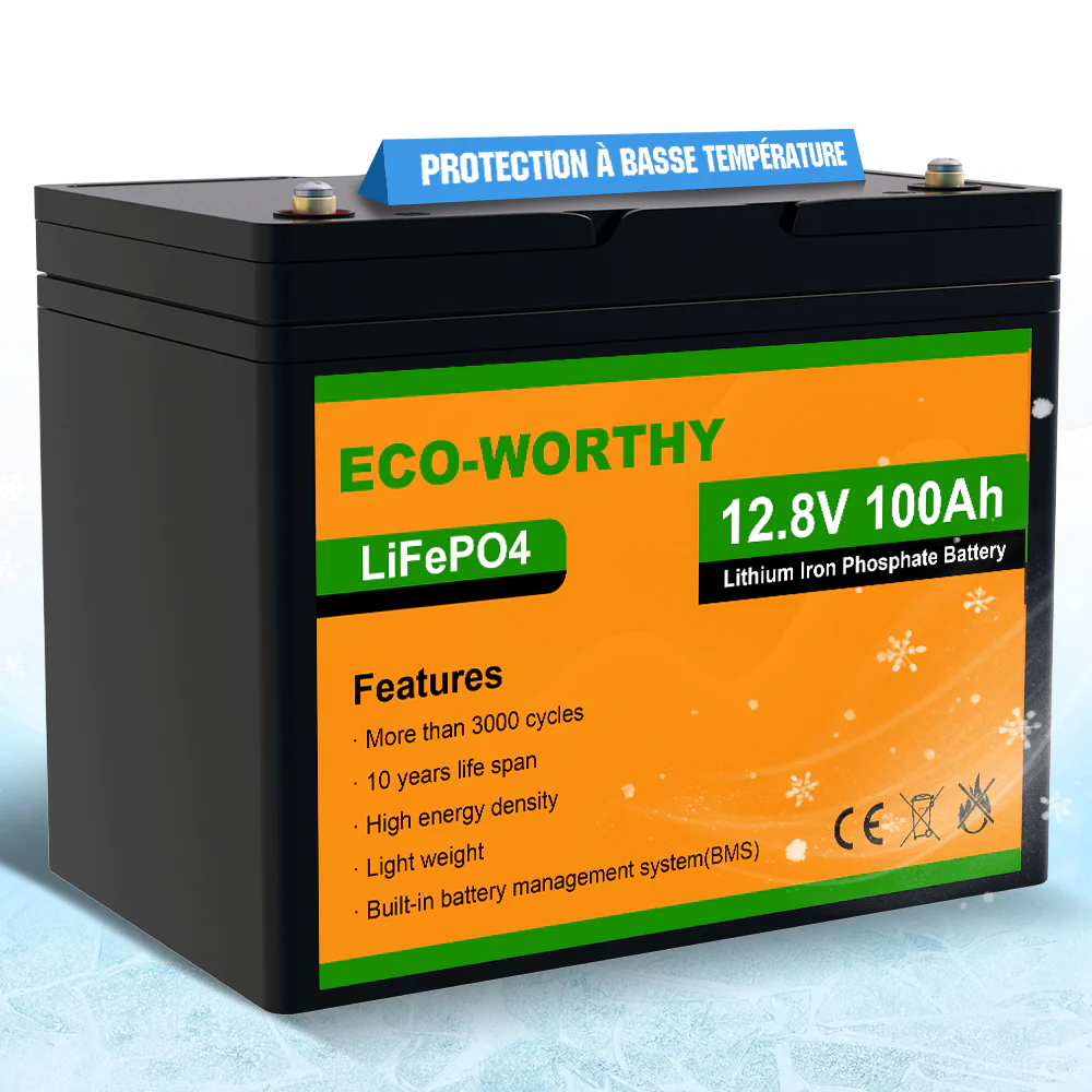 Batterie a bassa temperatura EcoWorthy